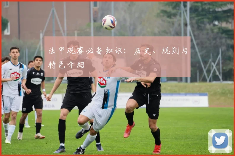 法甲观赛必备知识：历史、规则与特色介绍