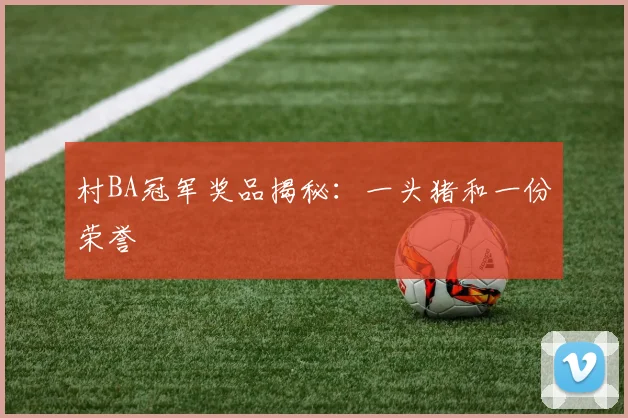 村BA冠军奖品揭秘：一头猪和一份荣誉